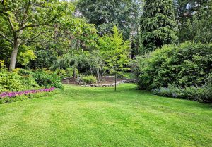 Optimiser l'expérience du jardin à Mehoncourt